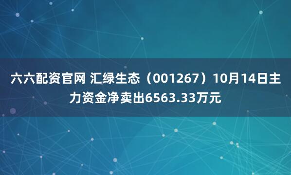 六六配资官网 汇绿生态（001267）10月14日主力资金净卖出6563.33万元