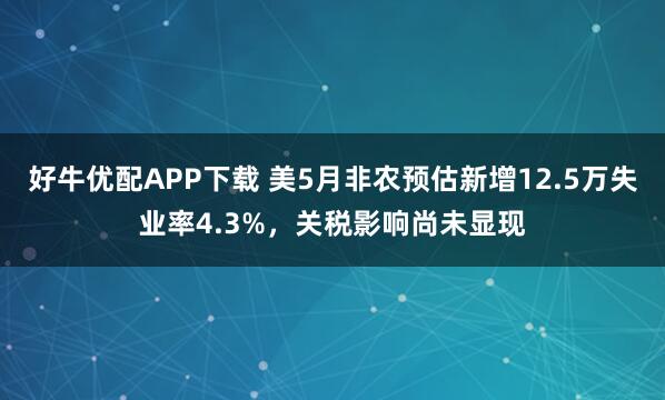 好牛优配APP下载 美5月非农预估新增12.5万失业率4.3%,关税影响尚未显现