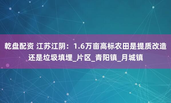 乾盘配资 江苏江阴：1.6万亩高标农田是提质改造还是垃圾填埋_片区_青阳镇_月城镇