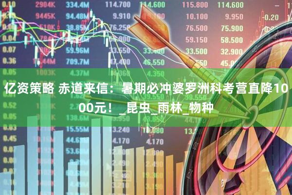 亿资策略 赤道来信：暑期必冲婆罗洲科考营直降1000元！_昆虫_雨林_物种