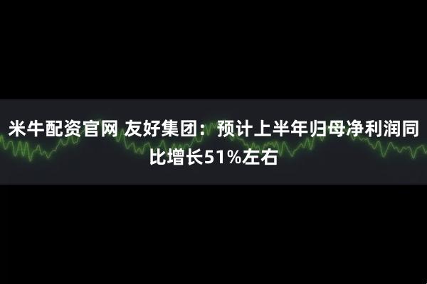 米牛配资官网 友好集团：预计上半年归母净利润同比增长51%左右
