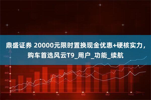 鼎盛证券 20000元限时置换现金优惠+硬核实力，购车首选风云T9_用户_功能_续航