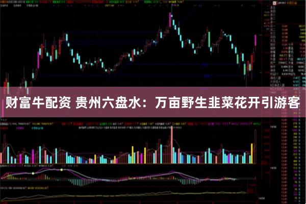 财富牛配资 贵州六盘水：万亩野生韭菜花开引游客